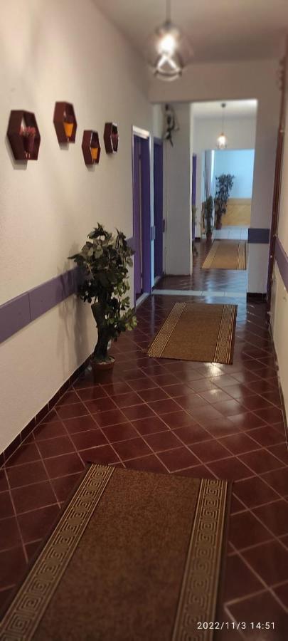 M Jasmin 3*